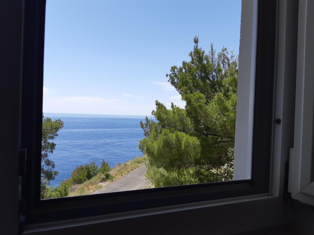 Apartments Rotim, Mljet, Sutmiholjska Babino Polje المظهر الخارجي الصورة