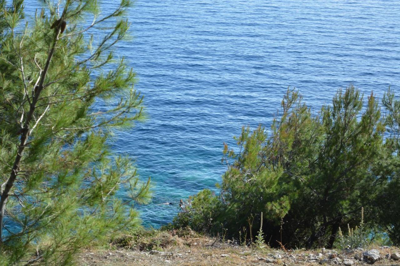Apartments Rotim, Mljet, Sutmiholjska Babino Polje المظهر الخارجي الصورة